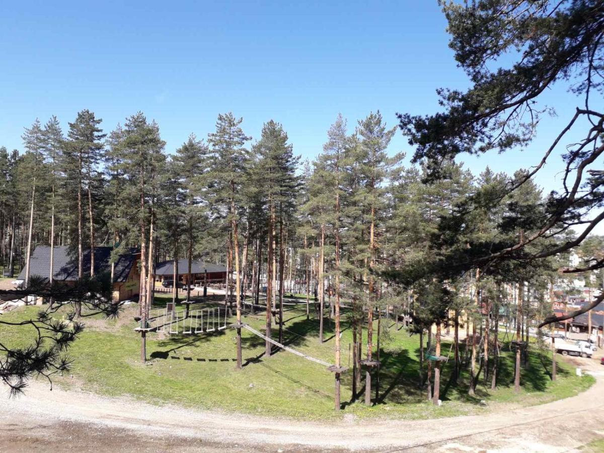 Lux Apartman Ss Zlatibor Vila Pekovic Green Exterior photo